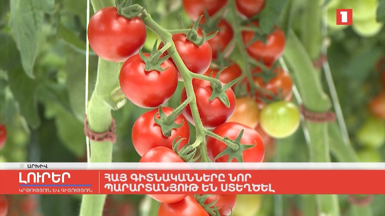 Հայ գիտնականները նոր պարարտանյութ են ստեղծել