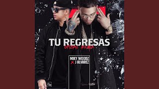Tu Regresas (Remix)