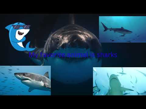 Robbie M -  All About Robbie