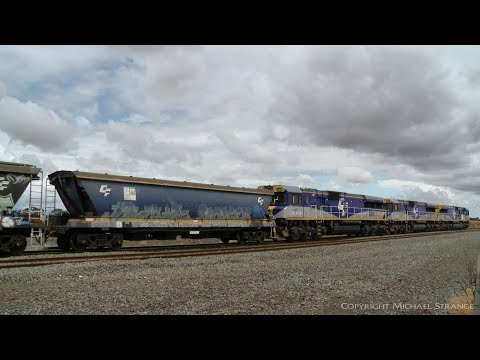 QUBE 5MA1 Grain Train At Railway Crossing - PoathTV Australian Railways