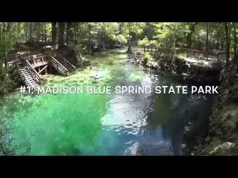TOP 5: Florida State Park Springs!