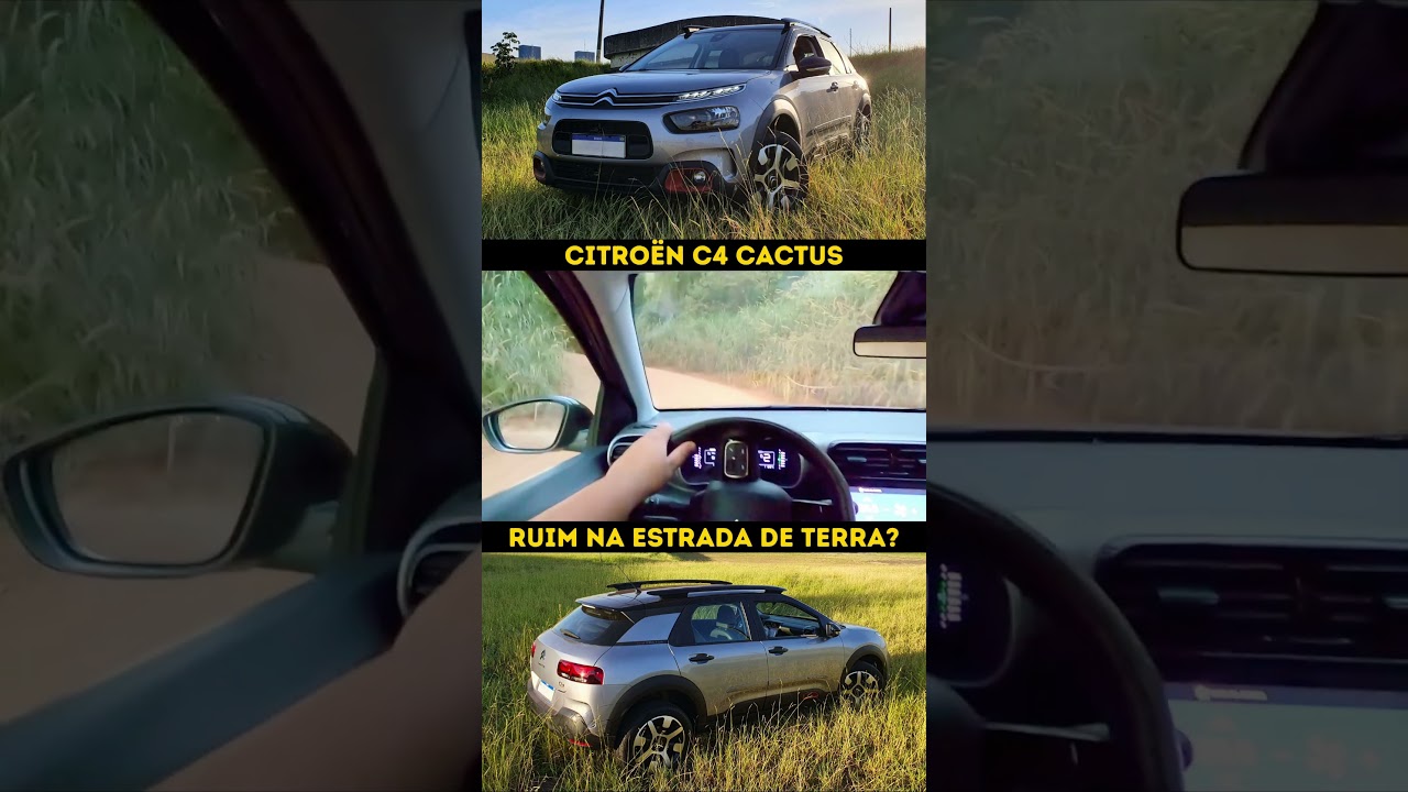 Bora pra terra com o C4 Cactus!!!