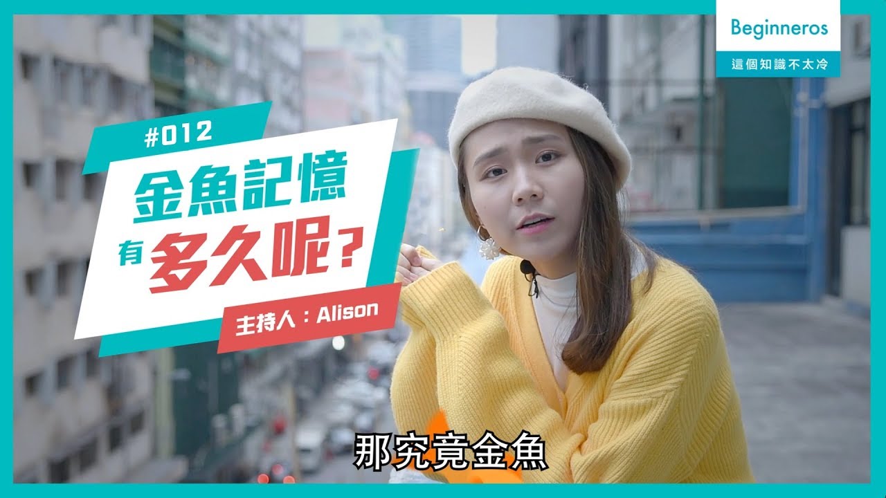 動物知識：金魚記憶真的只有7秒嗎？︱Beginneros