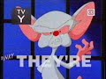 Pinky The Brain On Disney Channel August 2006 Totally Real And Rare Please Read Description
