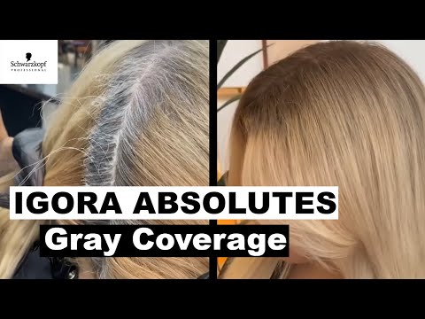 Gray Coverage Hair Dye Tutorial Using IGORA ABSOLUTES...
