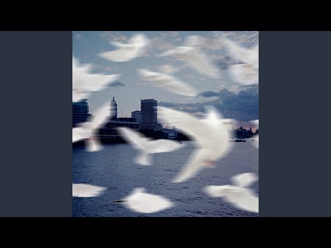 You Remain (Live) (feat. Elyssa Figueroa)