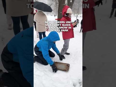 New Yorkers use makeshift sleds to enjoy snow in Central Park