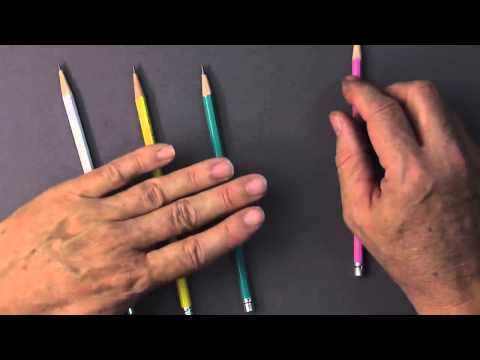 The Story Behind The Purrrfect Portrait