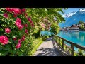Peaceful Morning Walk In Swiss Town Interlaken Switzerland Top Travel Destination