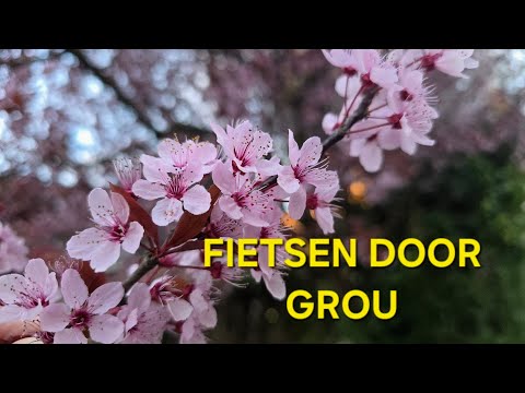 Fietsen door Grou in Friesland – 4K