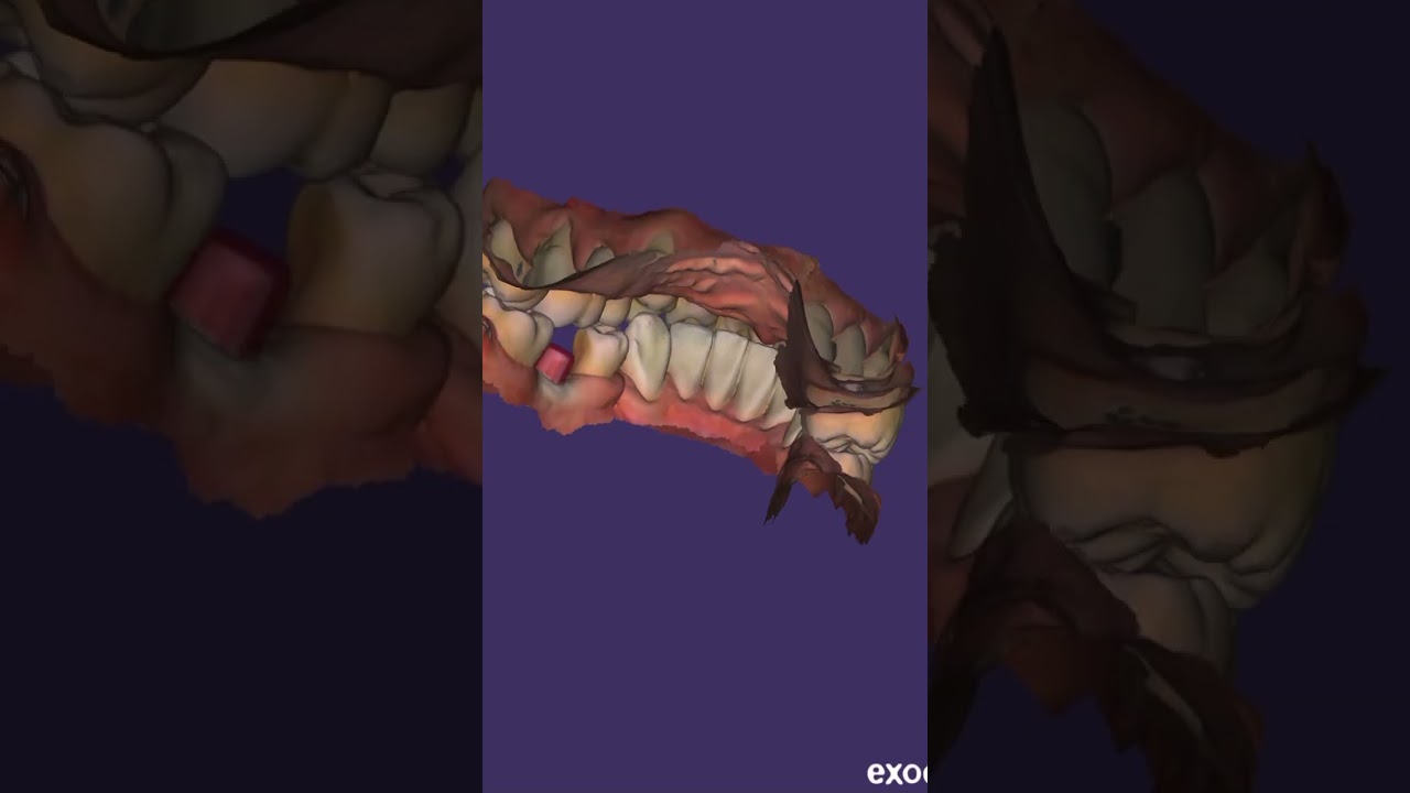 Alejandro Angelo López Díaz-21