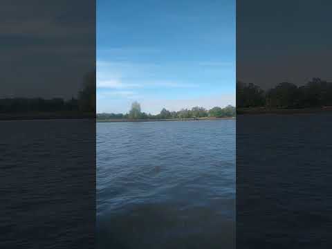 COSTANERA DEL RÍO LUJÁN SAN FERNANDO #buenosaires #viapublica #turismobuenosaires #travel