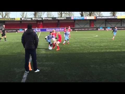 IJsselmeervogels E1 - DOVO E1