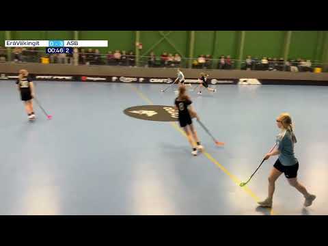 T16: EräViikingit - ASB 8.3.2025 maalikooste