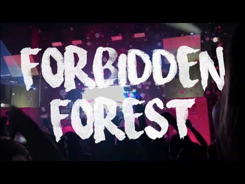 Forbidden Forest | Summer 2018 ♡