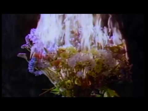 124  Suzanne Vega ft  DNA   Tom s Dinner 1990