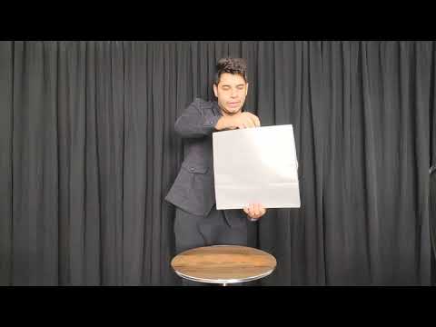 Wine Bottles From Paper Bag 4 Bottles by Tora Magic