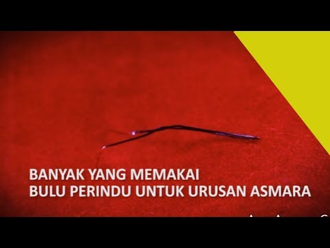 Bubuk patogen perempuan di mana Anda dapat membeli Kontol kecil mengapa sendiri