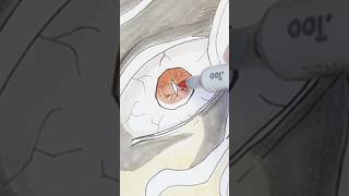 【鬼滅の刃】鬼舞辻無惨 描いてみた | Drawing Muzan Kibutsuji | Demon Slayer