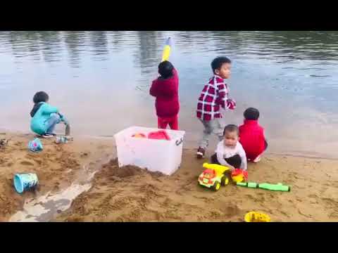 Lambeth Reseve,Picnic Point,NSW