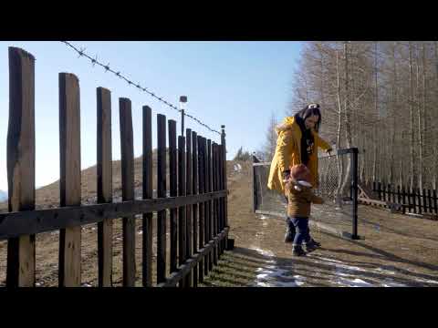 O dupamasa la Zestrea Sofiei