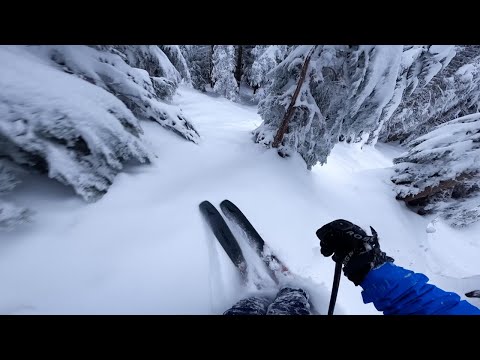 Tight Trees and Fresh Powder at grouse mountain