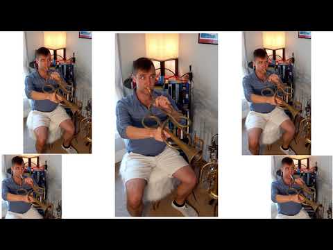 Sonata 99 from Tutta l'arte della trombetta