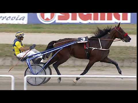 Napoli Trotto 21/09/2023 - 2ª corsa