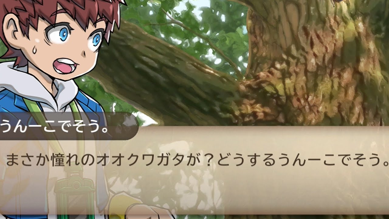 普通じゃないカブトクワガタ実況！？