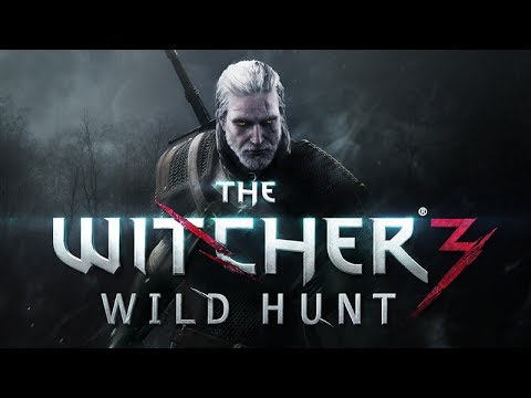 The Witcher 3: Wild Hunt Part 270 And You Left The Game