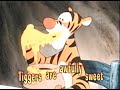 Winnie the Pooh The Wonderful Thing About Tiggers Sing Along Song