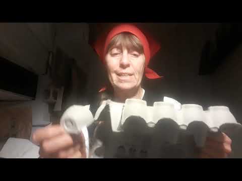 Kulturlab - Mor Anna & djuren i äggkartongen