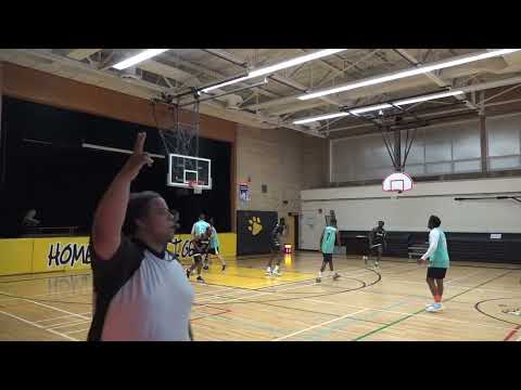 Ripcity vs Toronto Venoms - Saturday tier 5 - tcbl 2022 spring