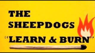 The Sheepdogs - Learn &amp; Burn