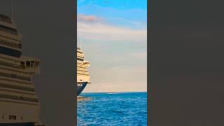 MS Eurodam 🛳️ #like #share #comment #subscribe #cruiseship #cruise #vacation #shorts #short #fun
