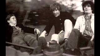 The Clean - Platypus [LIVE]