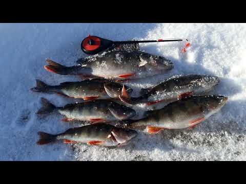 Paluu ensinmäisille pilkkipaikoille