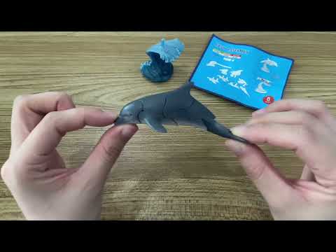 Assembly Video - Dolphin 3D Puzzles Figures Sea Animals Toy Playset For Children eBay Item