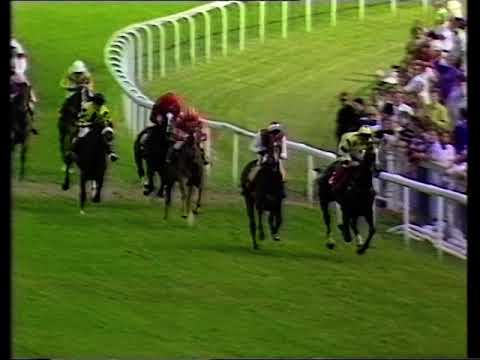 1993 Moet & Chandon Silver Magnum Limited Handicap