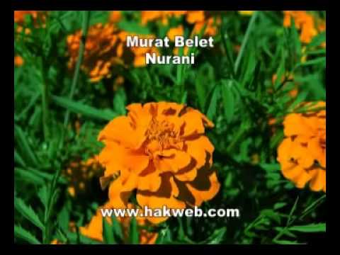 Murat Belet   Nurani