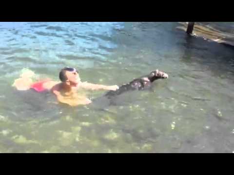 CHANEL primi bagni al lago - Sala Comacina luglio 2015