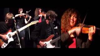 Red Squirrel by Stackridge