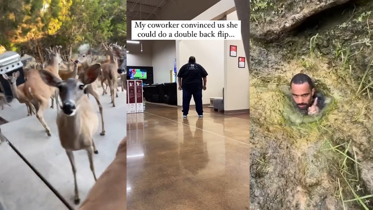 Videos I found on Reddit - r/unexpected - Complication #17