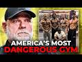 Diamond Gym The Unspoken Laws Of A Hardcore Power Bodybuilding Gym Zach Even Esh