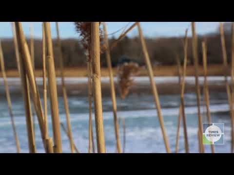 One minute on the North Fork: Great Pond