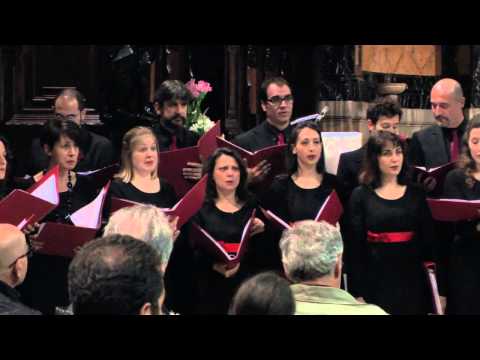 Notevolmente - Let there be Light