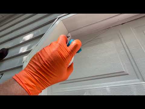 Stopping the Yellow Jacket Nest Getting Bigger in Bayville, NJ