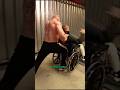 Brock Lesnar DESTROYS Zack Gowen Brocklesnar Therock Tripleh Stonecold Johncena Wwe Ufc Jre