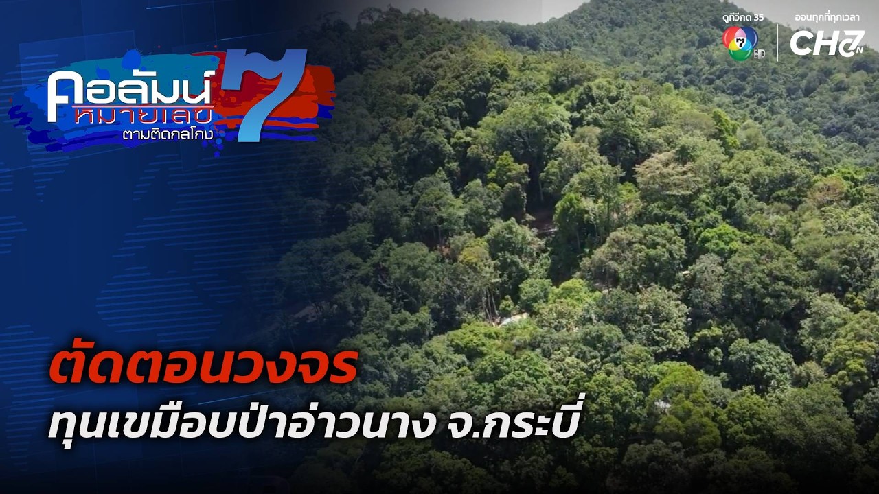 ตัดตอนวงจรทุนเขมือบป่าอ่าวนาง จ.กระบี่ | คอลัมน์หม