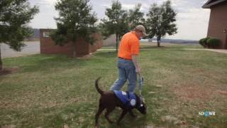 SDWR Training Go Potty